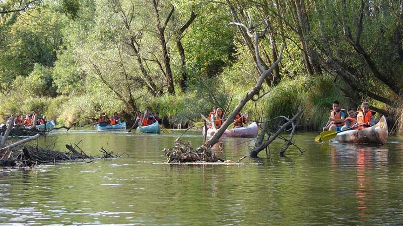 osztálykirándulás iskoláknak